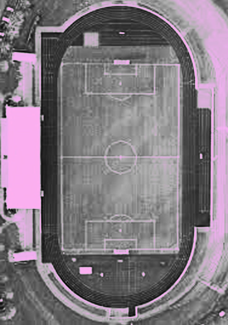 Unicup field